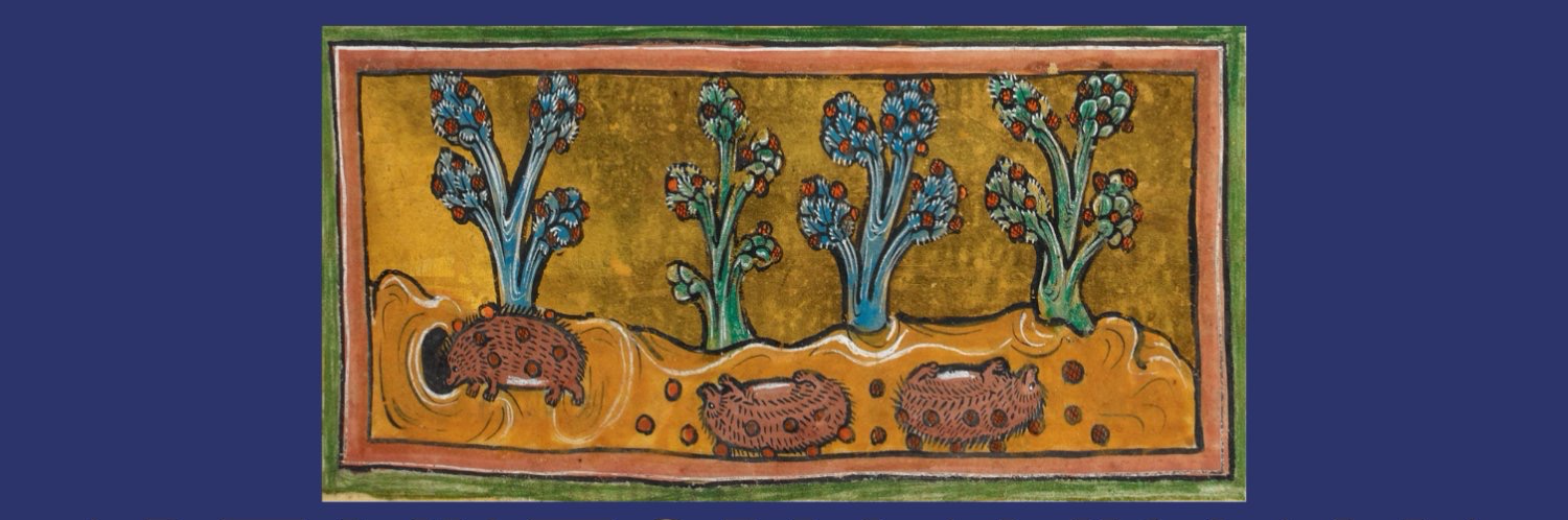 arthistoryanimalia's profile header