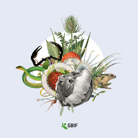 Purple graphic with various biodiversity illustrations 